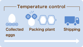 Temperature control (Collected eggs  Packing plant  Shipping)