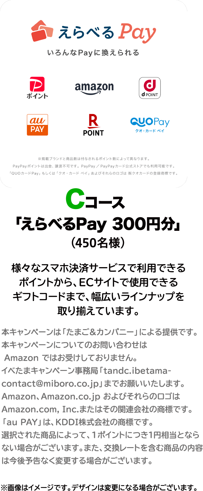 Cコース