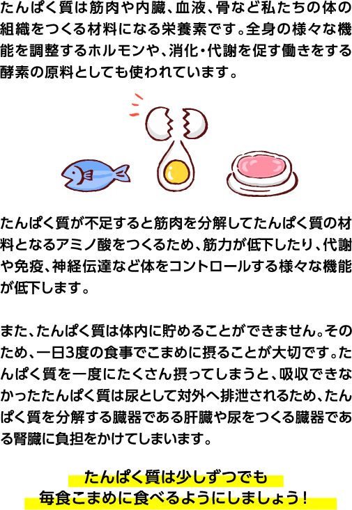 そもそもたんぱく質ってなに？