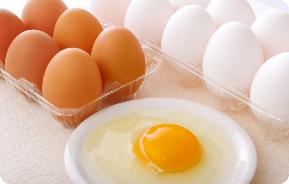 栄養豊富な卵